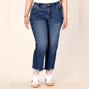 Democracy High Rise Spliced Leg Ankle Jean